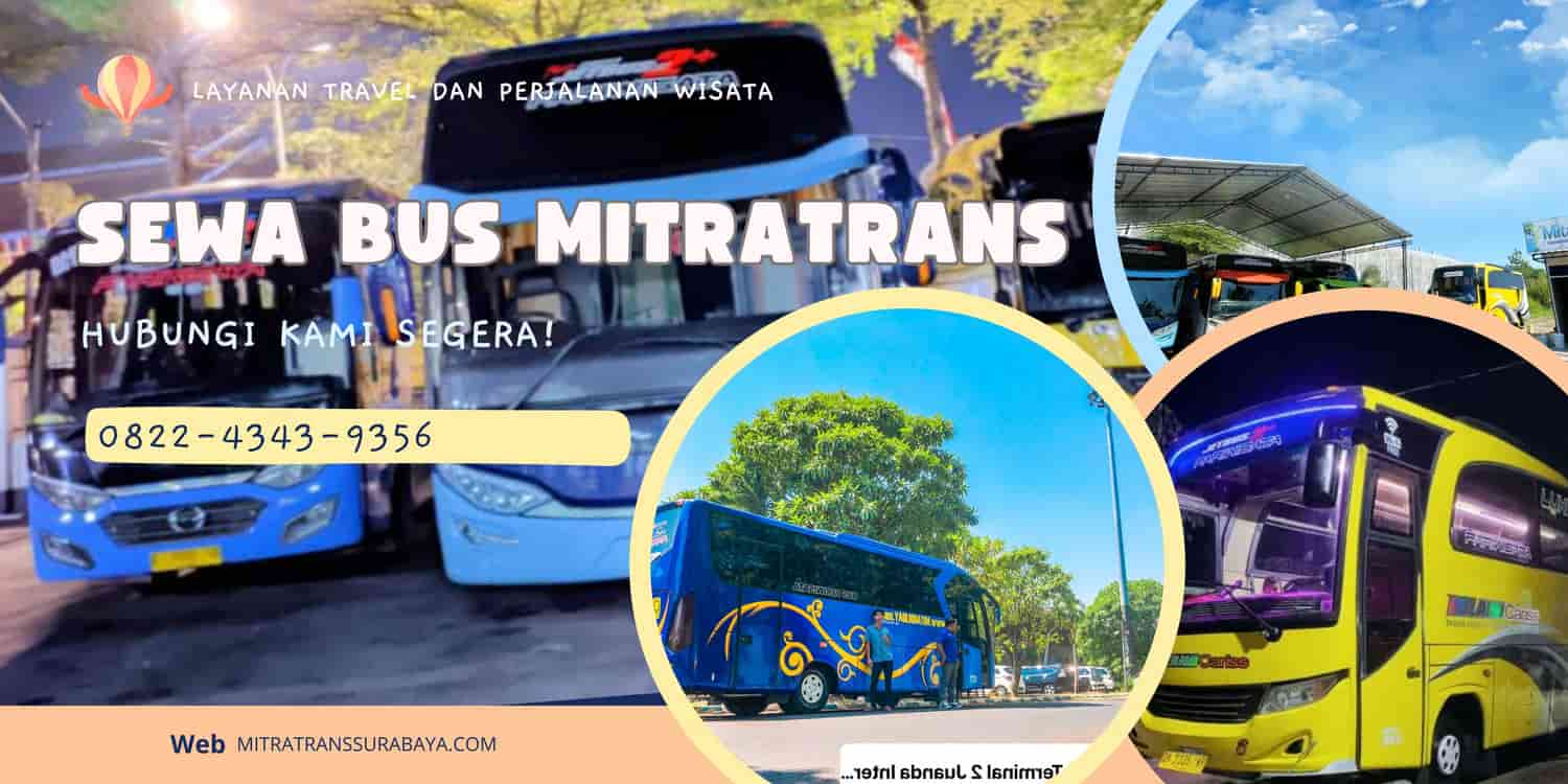 Sewa Bus Medium Solo